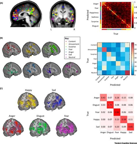 Decoding The Nature Of Emotion In The Brain Trends In Cognitive Sciences