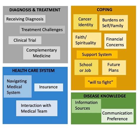 B Emerging Themes From Qualitative Data Analysis Download Scientific Diagram