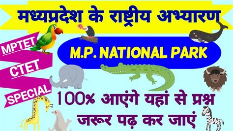 मध्यप्रदेश अभ्यारणmp National Park Full Detailsmptet Ctet Special