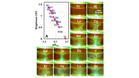 The Center For Nanoscale Materials