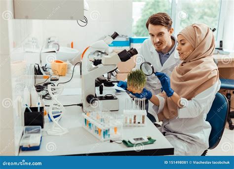 Positive Smart Scientists Working Together In The Lab Stock Image