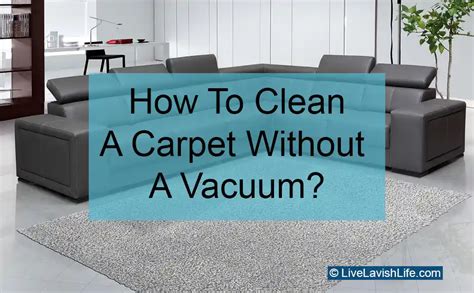 How To Clean A Carpet Without A Vacuum Cleaner A Step By Step Guide