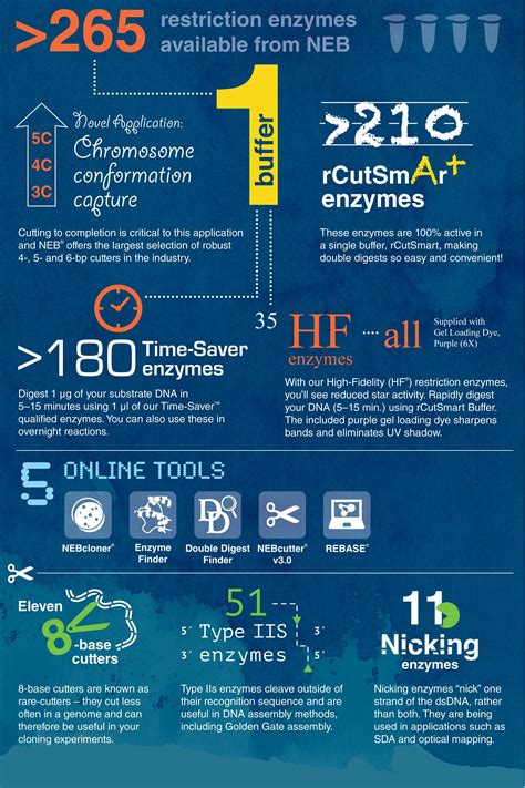 Restriction Enzymes New England Biolabs GmbH