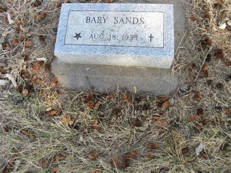 Edwin Ralph Sands (unknown-1933) - Find a Grave Memorial