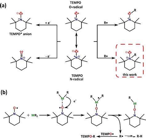 Uncovering Factors Controlling Reactivity Of Metaltempo Reaction