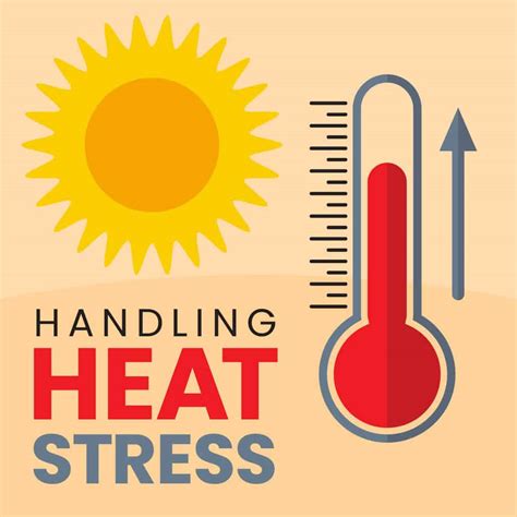 How To Handle Heat Stress Prevention And Training Spotting Heat Stress