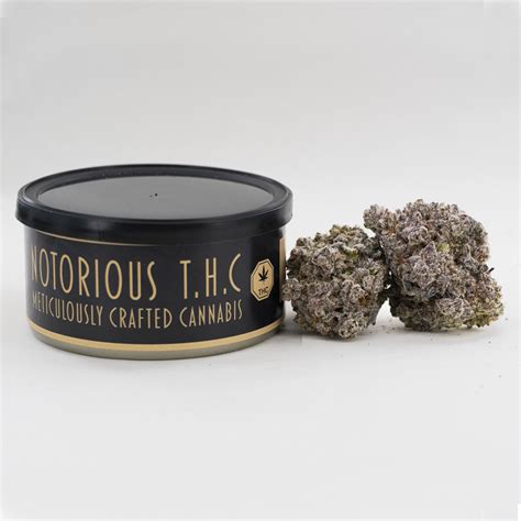 Notorious Thc Craft Nedband Light Caviar Craft 7 Grams Dank Bud Online