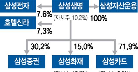 삼성전자 지주사 전환 공식화 삼성생명 금융지주 전환도 탄력