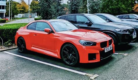 Toronto Red G87 M2 Spotted Live In Uk