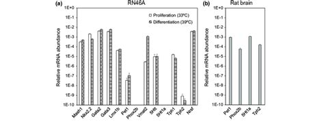 Quantitative Real Time Rt Pcr Analysis Of The Expression Of