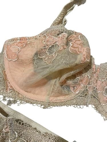 Vintage Lunaire Sheer Mesh Pink Lace Bra And Panty Set NWT 34D Medium Bikini EBay