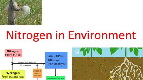 Net Life Science Iii Nitrogen In Environment Youtube