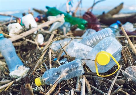 Inovasi Teknologi Solusi Pengelolaan Sampah Plastik Laut Riset