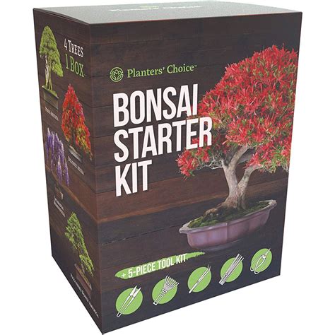 Planters Choice Bonsai Starter Kit Tool Kit Plant Markers Bamboo