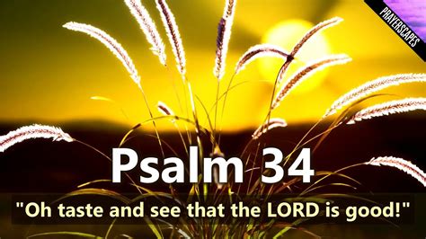 Psalm Oh Taste And See That The Lord Is Good Youtube