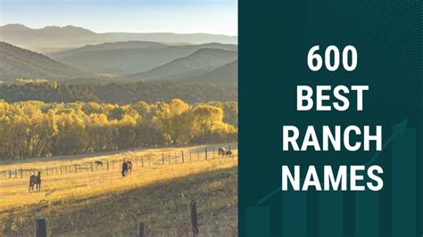 600 Best Ranch Names To Find Inspiration In 2024