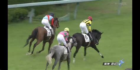 マスクトディーヴァ快勝 一口馬主いとをかし