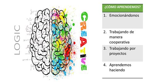 Neurociencias Cognitivas Y Aprendizaje En La Formación Del Estudiante