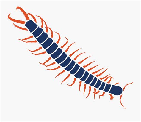 Millipedes Free Transparent Clipart Clipartkey