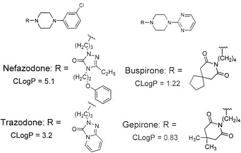 Examples Of Cyclic Tertiary Amines That Are Inactive As Cyp2d6 Substrates Download Scientific