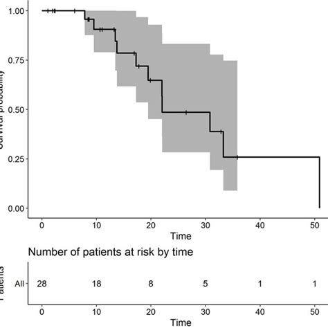 Kaplan Meier Plot Of Overall Survival Months Download Scientific