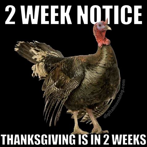 Funny Meme Of The Day For November 10 Thanksgiving In 2 Weeks