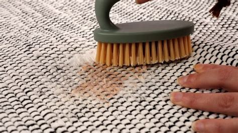 How To Dry Clean My Carpet At Home Cintronbeveragegroup