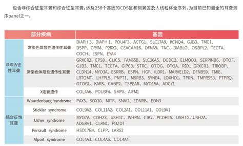 遗传性耳聋268基因检测 银丰基因科技有限公司