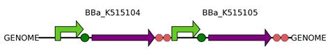 Team Imperial College London Project Gene Assembly Igem Org