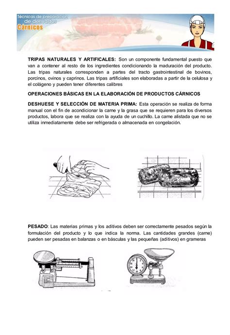 Actividad Semana Tecnicas Para La Preparacion Derivados Carnicos Pdf