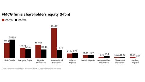 Bua Foods Dangote Sugar Lead Consumer Firms In Shareholders Funds