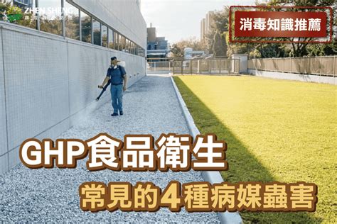 震陞除蟲公司─消毒知識推薦，ghp食品衛生常見的4種病媒蟲害