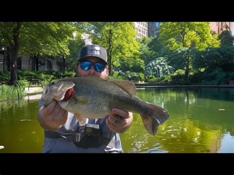 Pond Hopping For BIG BASS In The City Bass Manager The Best Bass