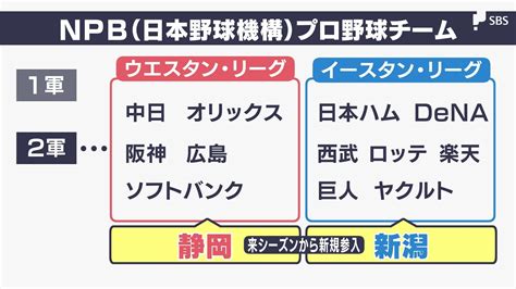 新プロ野球チームの“期待と課題” 静岡市が本拠地「ハヤテ223」とは 新球団創設が地域振興の要となるか【現場から、】｜静岡新聞アットエス