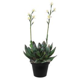 Acheter Des Plante Succulente Artificielle Aeonium LILKA Avec Fleurs