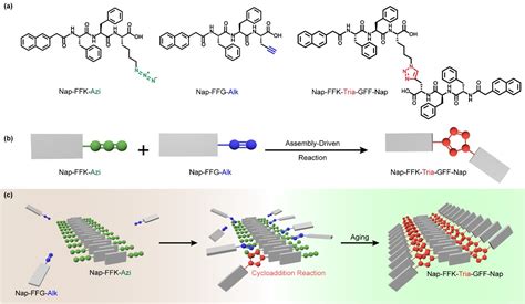 生医学院梁高林教授课题组在《nature Communications》发表最新研究成果