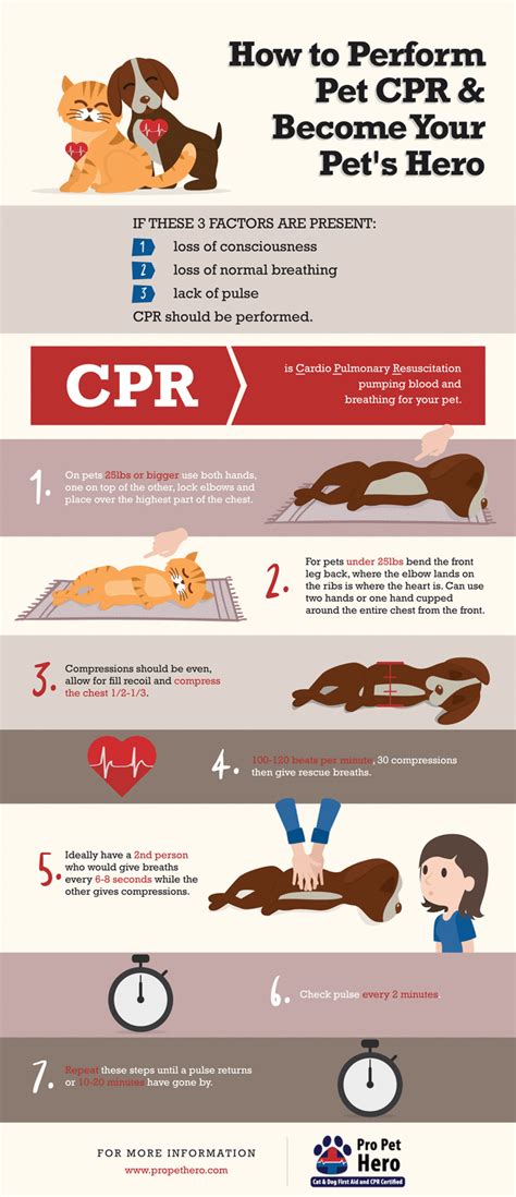 Saving your pet with cpr – Artofit