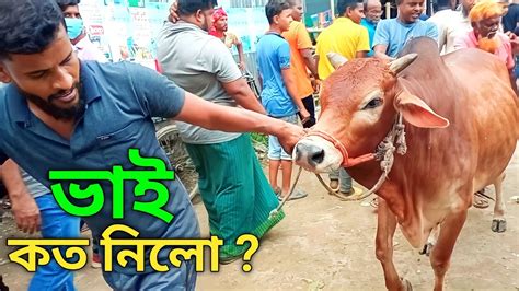 Bhai Koto Nilo Paragram Hozrotpur Gorur Haat 2023 Gabtoli Cow