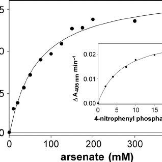 Osmotic Aquaporin Swelling Assay Systems Using Xenopus Laevis Oocytes