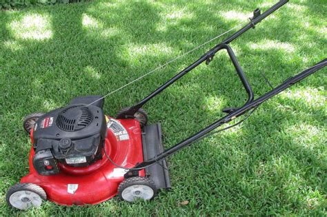 MTD 20 in. Manual Push Lawn Mower for Sale - RonMowers