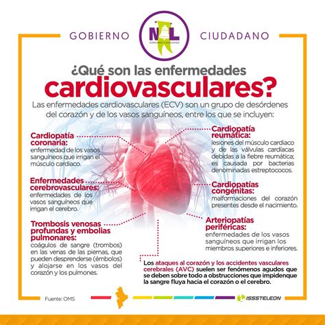 Prima No Labe Cuales Son Las Enfermedades Cardiovasculares Magn Tico