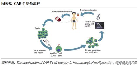 粤开证券：yescarta有望成为国内首个获批上市的car T细胞疗法