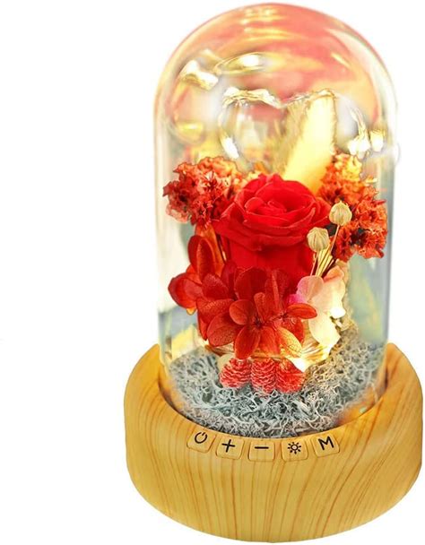 Eternal Rose In Glass Dome Shopping Online In Pakistan