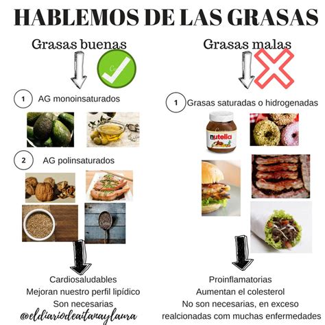 Grasas Buenas Vs Grasas Malas