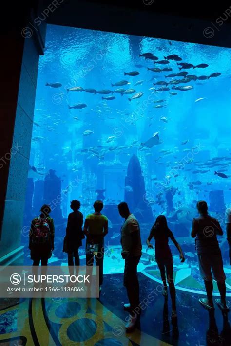 Aquarium Atlantis, The Palm Hotel Palm Jumeirah Dubai city Dubai United ...