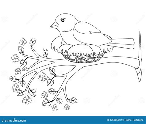 Bird Sits On A Nest Vector Linear Picture For Coloring A Small Bird