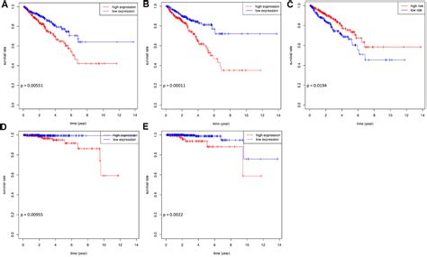 Identification Of Rna Binding Protein Snrpa For Prognosis In Prostate