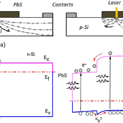 A Pbs N Si And B Pbs P Si Heterostructure Band Alignment And Related Download Scientific