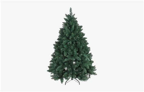 Árvore De Natal Verde Fraser Fir Christmas Trees PNG Image