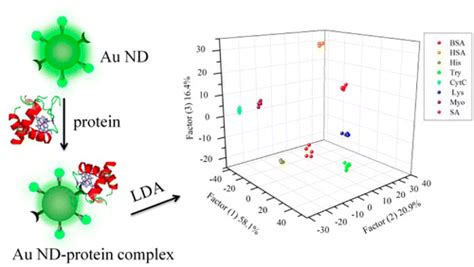 基于荧光金纳米点的蛋白质识别传感器阵列analytical Chemistry X Mol